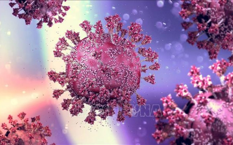 Hình ảnh mô phỏng virus SARS-CoV-2 gây bệnh Covid-19. (Ảnh: MedPage Today/TTXVN)