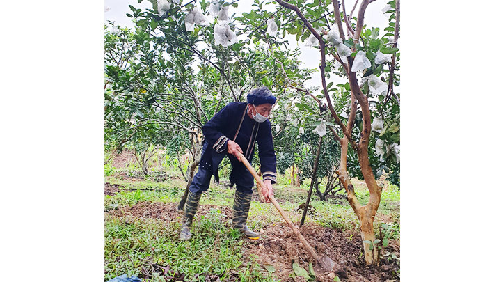 Bí thư Chi bộ Đặng Đình Điện là người tiên phong xây dựng kinh tế mới ở Hạ Thành.