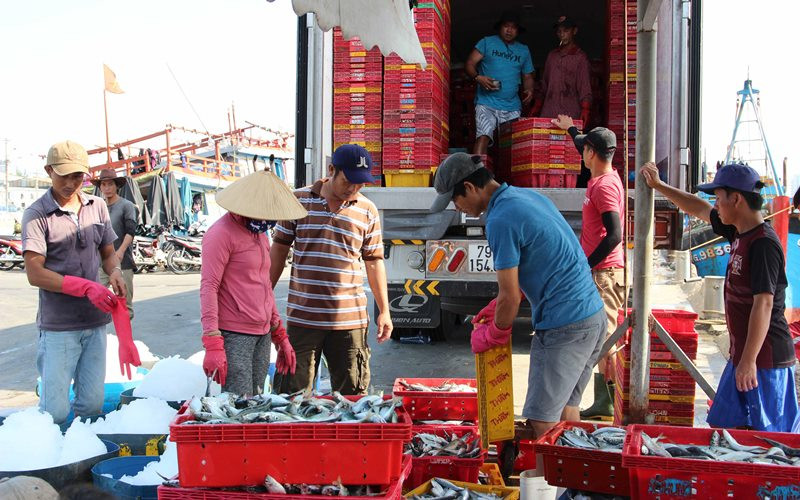 Giá trị khai thác hải sản của ngư dân tăng theo từng năm.