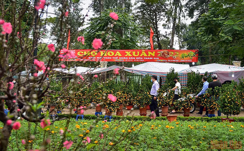 Chợ hoa xuân Hà Nội. (Ảnh: Thành Đạt)