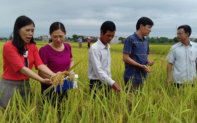 Cán bộ huyện Phú Bình (Thái Nguyên) kiểm tra sản phẩm OCOP tại địa phương. Ảnh: MINH HẢI
