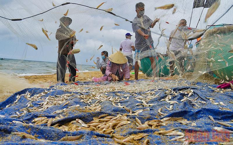 Ngư dân Bà Rịa- Vũng Tàu sau 2 tháng thực hiện giãn cách theo Chỉ thị 16 đã được phép ra khơi khai thác thủy sản.