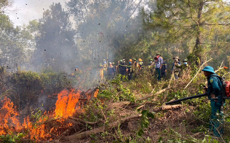 Các lực lượng và người dân nỗ lực dập tắt đám cháy.