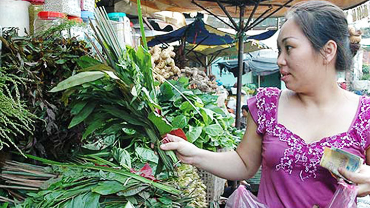Nhiều người chọn mua, sử dụng một số loại cây dược liệu góp phần bảo vệ sức khỏe.