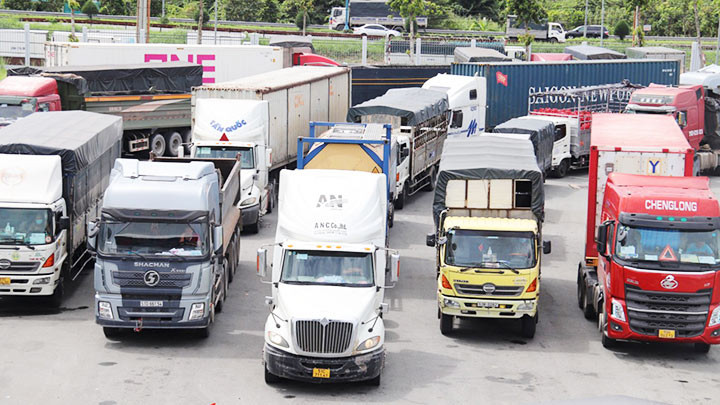 Nhiều văn bản điều hành của Cần Thơ chưa phù hợp thực tế.