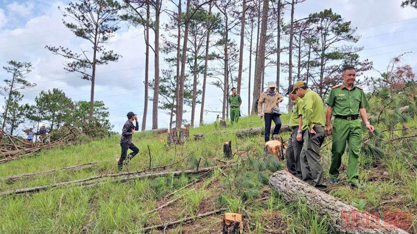 Cơ quan chức năng thành phố Đà Lạt kiểm tra hiện trường vụ việc.