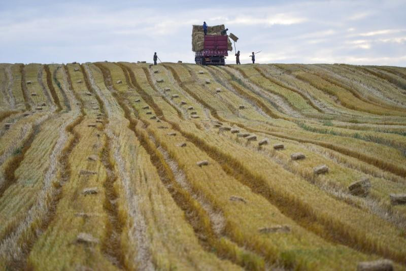 Ảnh minh họa. Ảnh: Reuters