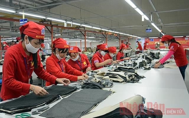 Ảnh minh họa: Duy Linh.