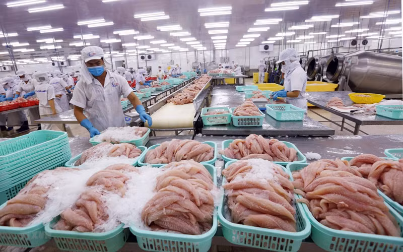 Xuất khẩu thuỷ sản đang gặp khó.