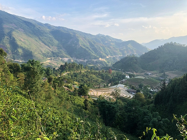 Cây Mạy Coóng đỏ rực nổi bật khi nhìn từ trên núi xuống.