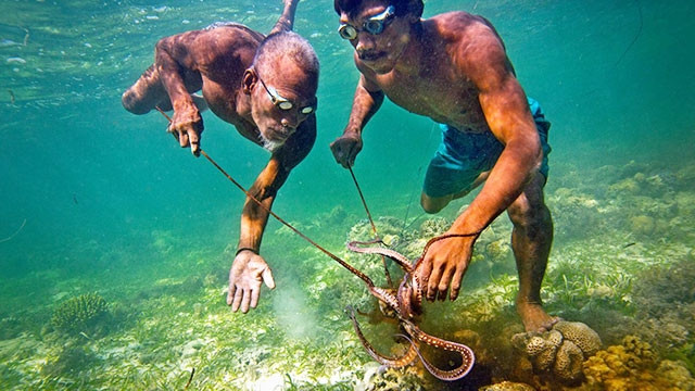 Người Bajau đi săn. Ảnh: NATIONAL GEOGRAPHIC