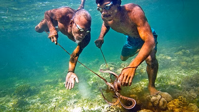 Người Bajau đi săn. Ảnh: NATIONAL GEOGRAPHIC