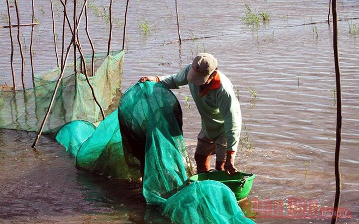 Con nước thấp trong mùa lũ ở An Giang (Ảnh minh họa).