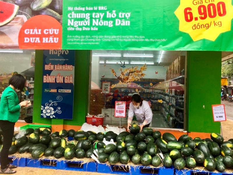 Siêu thị Hapromart Thành Công (Hà Nội) hỗ trợ nông dân tiêu thụ dưa hấu.