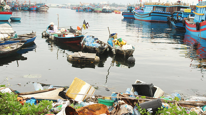 Rác ở âu thuyền Thọ Quang (Đà Nẵng).