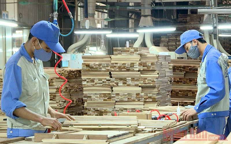 Ảnh minh họa: Hải Chung.