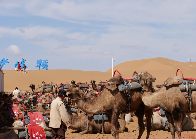 Sa mạc Tengger (hay Tenggeli theo phiên âm tiếng Trung Quốc) nằm giữa ba địa phương là khu tự trị dân tộc Hồi Ninh Hạ, khu tự trị Nội Mông Cổ và tỉnh Cam Túc, có diện tích 43.000 km2.