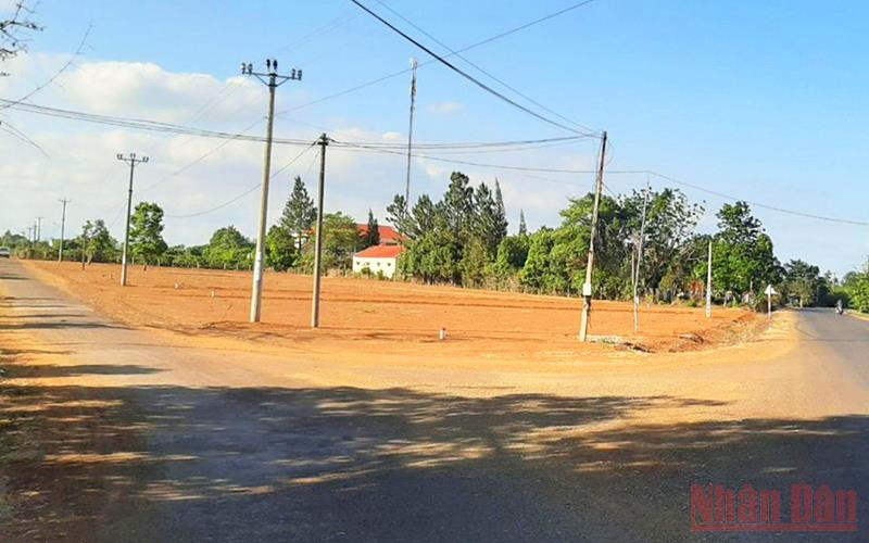 Lô đất cấp trái phép đã được các cơ quan chức năng Gia Lai ra quyết định thu hồi.