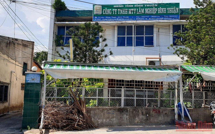 Trụ sở Công ty TNHH MTV Lâm nghiệp Bình Thuận tại TP Phan Thiết (Bình Thuận). (Ảnh: ĐÌNH CHÂU)