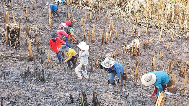 Đồng bào dân tộc Pa Cô ở xã A Bung lên rẫy.