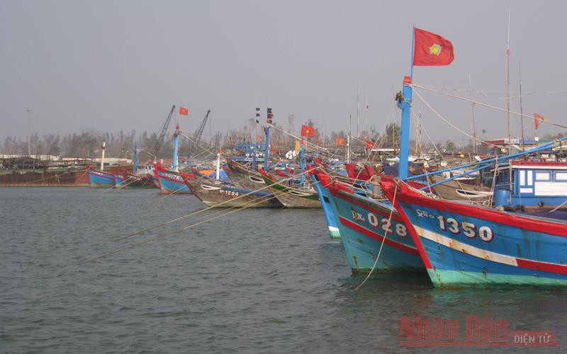 Hàng trăm tàu thuyền đã di chuyển vào khu trú ẩn.