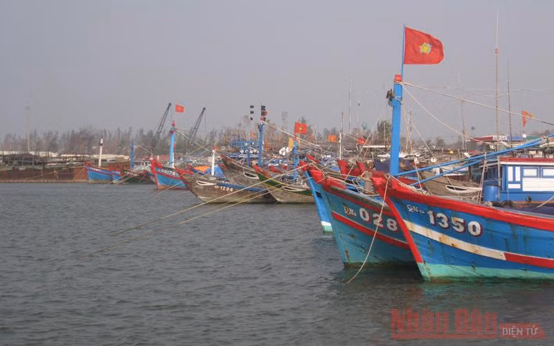 Hàng trăm tàu thuyền đã di chuyển vào khu trú ẩn.