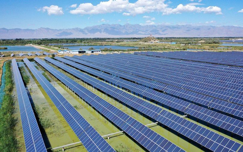 Hệ thống quang điện tại một cơ sở chăn nuôi của Trung Quốc. Ảnh TÂN HOA XÃ