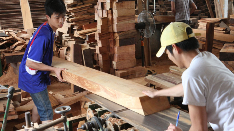 Khát nguồn cung gỗ nguyên liệu cho xuất khẩu.