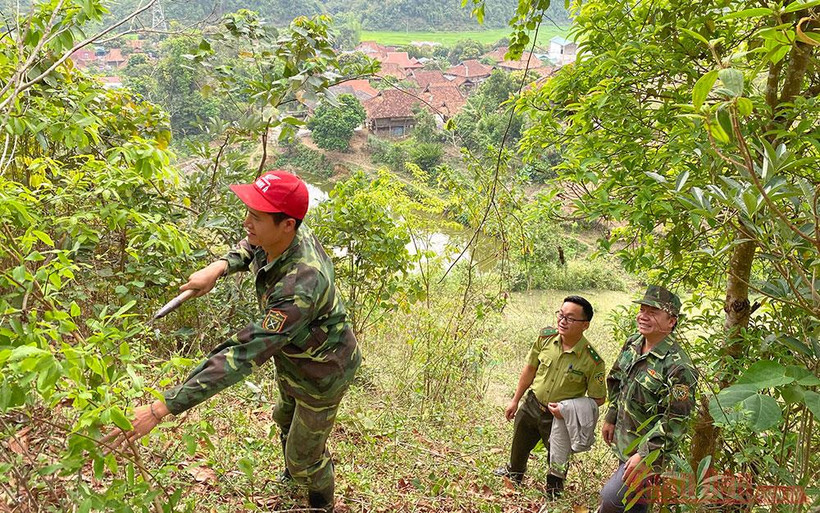 Kiểm lâm viên địa bàn cùng Trưởng bản Vì Văn Khiên kiểm tra công tác chăm sóc rừng trên khu rừng của bản Mường Pồn 1.