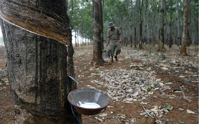 Ảnh minh họa. (Nguồn: Reuters)