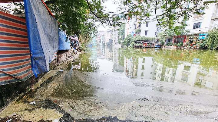 Một góc hồ Ao Phủ phường Láng Thượng, Đống Đa. 