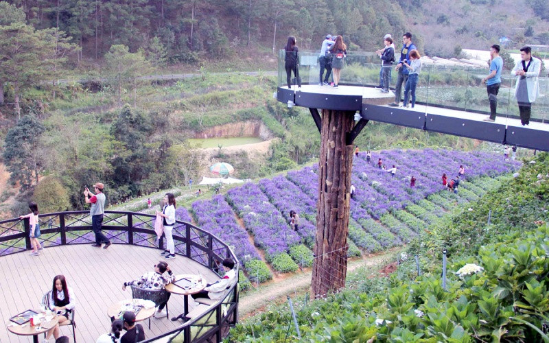 Cánh đồng hoa tại Đà Lạt thu hút du khách.