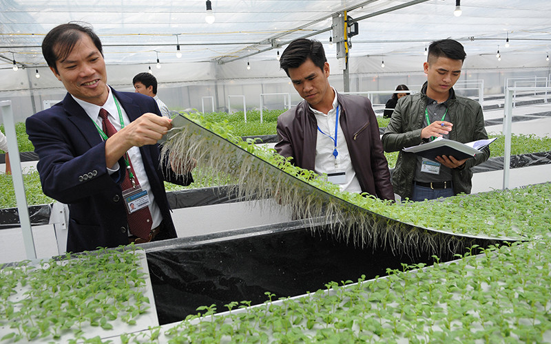 Ứng dụng khoa học kỹ thuật trong sản xuất nông nghiệp là xu hướng tất yếu để hội nhập và phát triển. Ảnh: Ngọc Mai