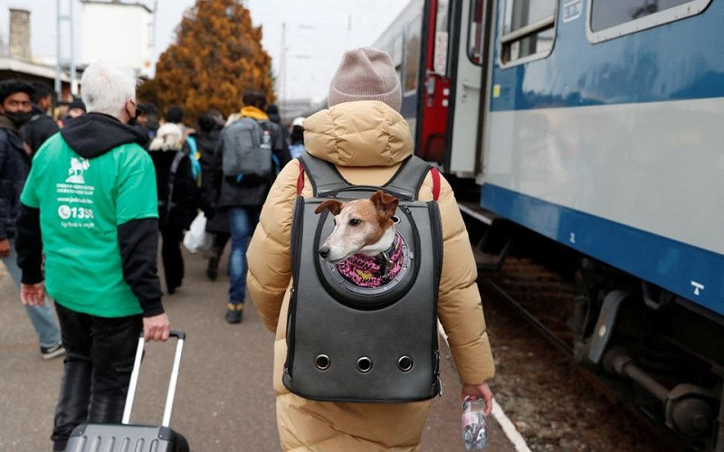 Người Ukraine mang theo thú cưng lên tàu đi sơ tán ở Zahony, Hungary, ngày 3/3/2022. (Ảnh: REUTERS)