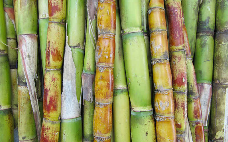 Ảnh minh họa. (Ảnh: Reuters)