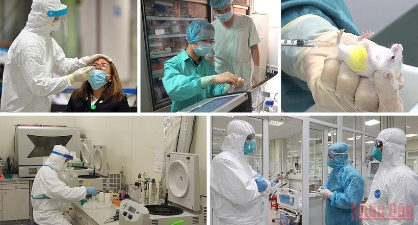 Việt Nam đã phân lập nuôi cấy được virus SARS-CoV-2, nghiên cứu vaccine Covid-19.