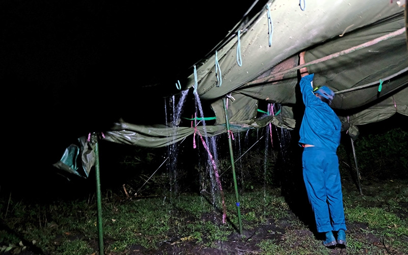 Một chốt dã chiến thuộc Ðồn Biên phòng Phước Chỉ.