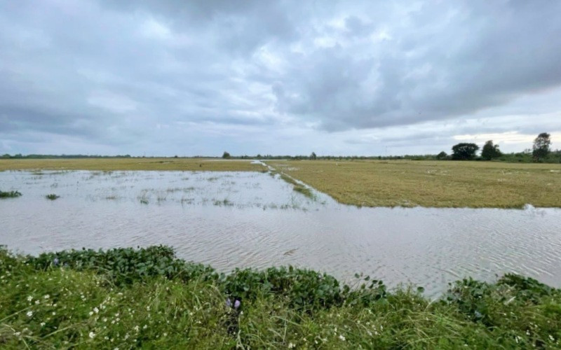 Đoạn bờ bao bị vỡ.