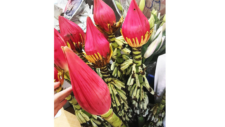 Hoa chuối đỏ