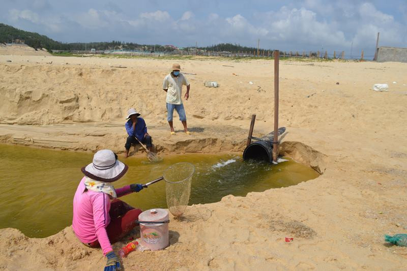 Lực lượng chức năng tỉnh Phú Yên kiểm tra lấy mẫu tại vị trí cống xả thải của Công ty Trí Huệ tại cơ sở nuôi tôm thôn Phước Đồng, xã An Hòa Hải, huyện Tuy An ( ảnh chụp tháng 4/2020).