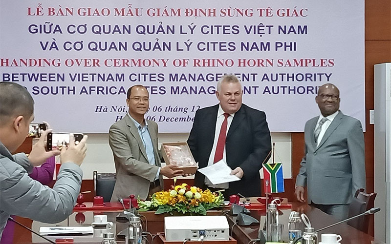 Bàn giao mẫu giám định sừng tê giác giữa cơ quan quản lý Cites Việt Nam và Cơ quan quản lý Cites Nam Phi.