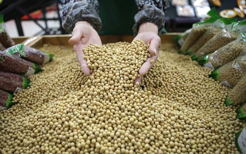 Ảnh minh họa. (Nguồn: Reuters)