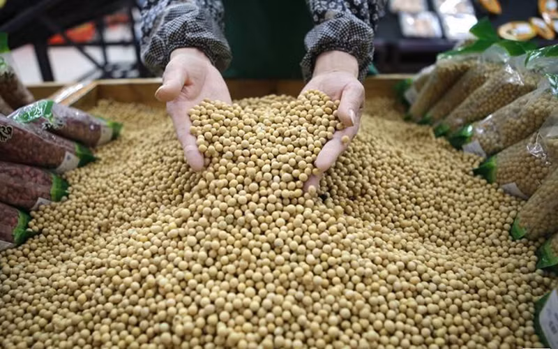 Ảnh minh họa. (Nguồn: Reuters)