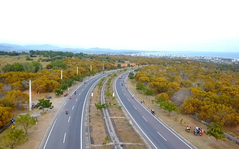 Tuyến đường Hòa Thắng-Hòa Phú, thuộc Khu du lịch quốc gia Mũi Né đã trở thành điểm check-in lý tưởng cho du khách và các bạn trẻ đến với Bình Thuận.