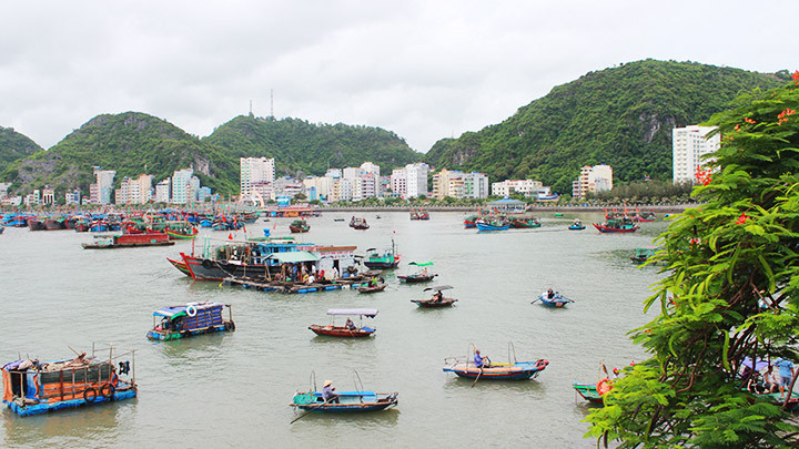 “Lên rừng, xuống biển” Cát Bà