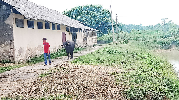 Chuồng trại của trung tâm lạc hậu, xuống cấp nghiêm trọng.