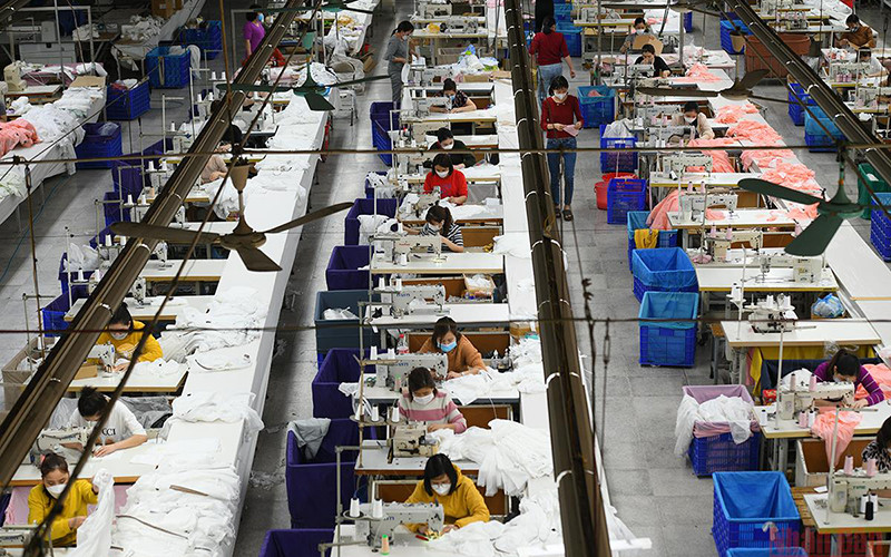 Ảnh minh họa: THÀNH ĐẠT