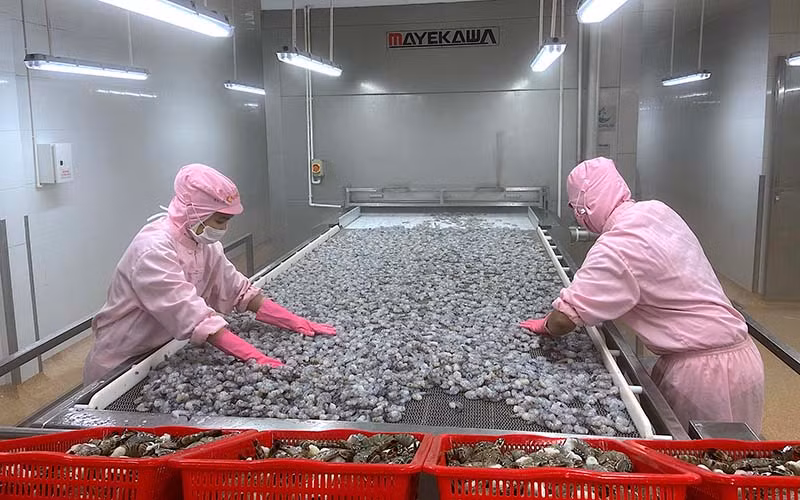 Việc F0, F1 cách ly tại nhà trong thời gian dài gây thiếu hụt lao động tại nhiều doanh nghiệp chế biến thủy sản.