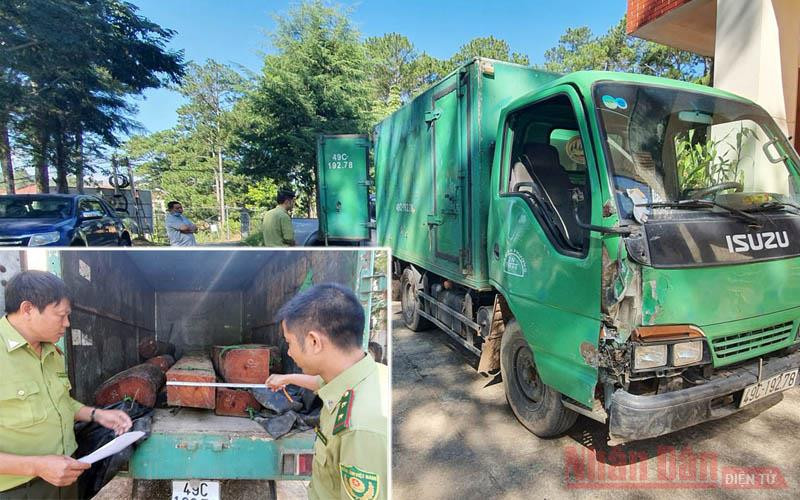 Ô tô cùng tang vật gỗ lậu tại cơ quan kiểm lâm.
