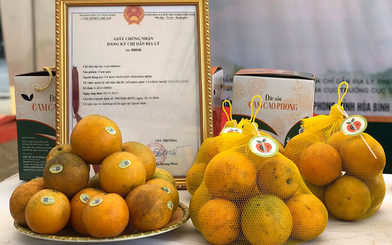 Cam Cao Phong, Hòa Bình, đặc sản được người tiêu dùng ưa chuộng (Ảnh minh họa).